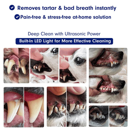 DentaPaw Pro — At-Home Ultrasonic Tartar & Plaque Remover for Dogs