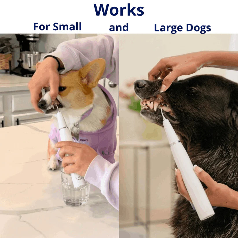 DentaPaw Pro — At-Home Ultrasonic Tartar & Plaque Remover for Dogs