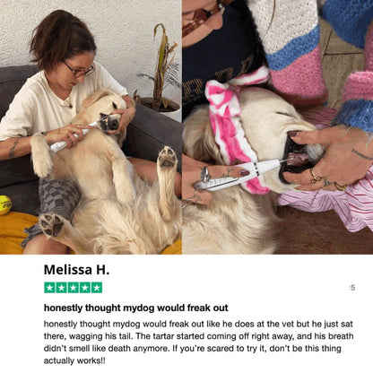 DentaPaw Pro — At-Home Ultrasonic Tartar & Plaque Remover for Dogs